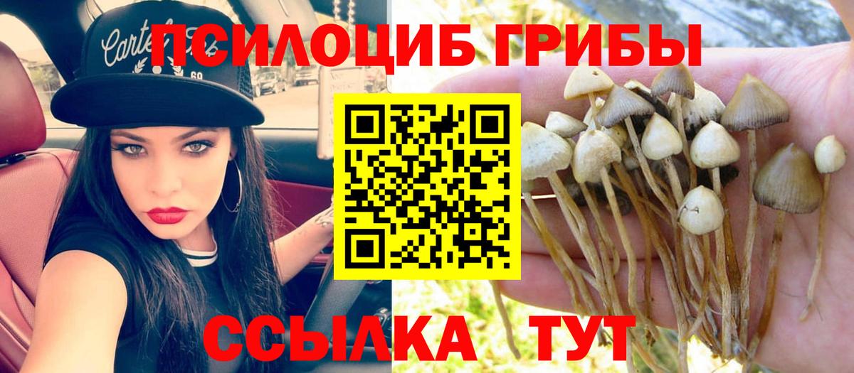 Галлюциногенные грибы прущие грибы  цена   Мариинск  Вход с VPN 